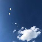 Xin Xiang - Facebook
