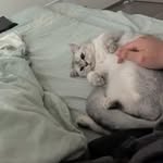 Xinwen Chen - @mr.chen727 - Instagram