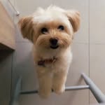 Xinyue Chen - @xinyue.chen.1048 - Instagram
