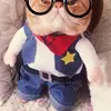 Xinyue Chen - @xinyuechen2 - TikTok