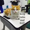 Xinyue Li - @cocoli0321 - TikTok