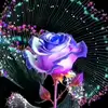 Her Xiong - @her.xiong6 - TikTok