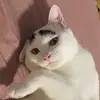 Xiong Wei - @xw891031 - TikTok