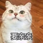 Xiong Wei - @xiong__wei - Instagram