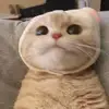 xiongwei1230 - @xiongwei1230 - TikTok