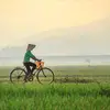 Xiu Lam - @xiu.lam0 - TikTok