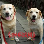 張秀旭 - @xiuxuzhang - Instagram