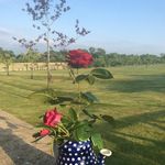 Guo Xiuling - @xiulingguo - Instagram