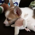 Xiuli Liu - Facebook