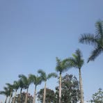 Xiuli Ren - Facebook