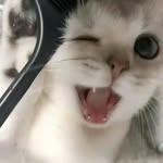 任秀琳 - @xiulinren - Instagram