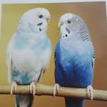 Xiu Mei Zhang - @xiumei.zhang.16 - Instagram