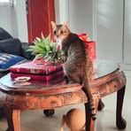 Xiumei Zhang - Facebook