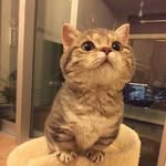 Xiyuan Wang - @xiyuan381 - Instagram