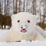 xiyuan - @xiyuan_wang0 - Instagram