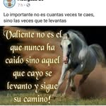 Xochil Chavez Heredia - @xochilchavezheredia - Instagram