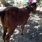 Xochitl Ugalde - Facebook
