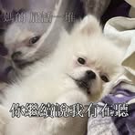 許綾 - Facebook