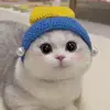 zhanguug6v2 - @xuling77 - TikTok