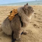 Xue Lee - @xue.lee.7737 - Instagram