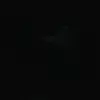 Xue lee - @xue_lee - TikTok