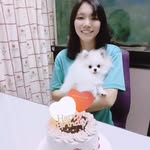 Xuelee Chan - @xuelee_0819 - Instagram