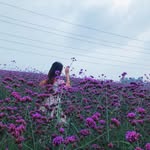 He Xue Mei - @he__xuemei - Instagram