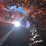 Xuting Zhao - Facebook