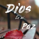 Yadira Jimenez - @yadira_jimenez2071 - Instagram