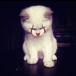 Yael Abraham - @abr_aham473 - Instagram
