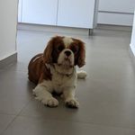 yael_goldstein - @yael_goldstein14 - Instagram