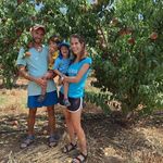 Yael Rubin - @yael_rubin1 - Instagram