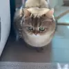 yaelweber17777 - @yaelweber17777 - TikTok
