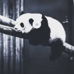 Yaffa max - @yaffa.max - Instagram