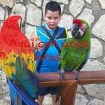 Yahir Avalos - @yahir.avalos.52 - Instagram