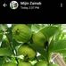 Yahya Abdullah - Facebook