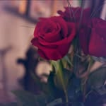 Yahya Khatri - @ashraf_khatri_07 - Instagram