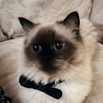 Yahya Khatri - @yahyahkhatri - Instagram