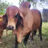 Yair Ramirez - @yair.ramirez08 - TikTok