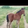 Yaira Rivera - @yaira.rivera3 - TikTok