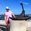 Yaisel_Perez🧨🇨🇺🇨🇺🍹🍹 - @guerrero_de_la_alegria - TikTok