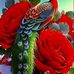 Yalda Bahar - Facebook