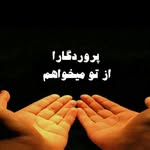 Yalda Bahar - @yalda.bahar.94214 - Instagram