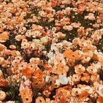@yalin.lai - Instagram