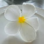杨雅麟 - @yalin.yang615 - Instagram