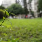 YaLing Wang - @yaling.wang.790 - Instagram