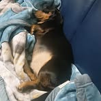 Yaling Wang - Facebook