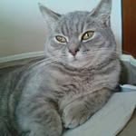 Yam  Chan - @yamchan - Instagram