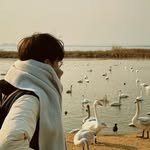 Yam Chan - @yam_cube - Instagram