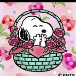 Yam Cheng - @yam.cheng.5 - Instagram